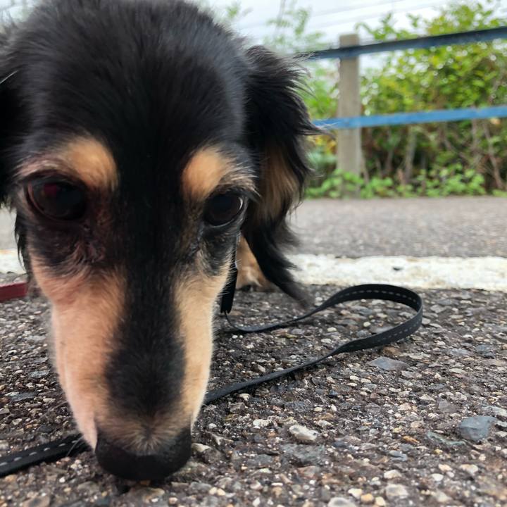 1f5271fe b5a3 413b a35a 699eb195b2b7 1563244561997