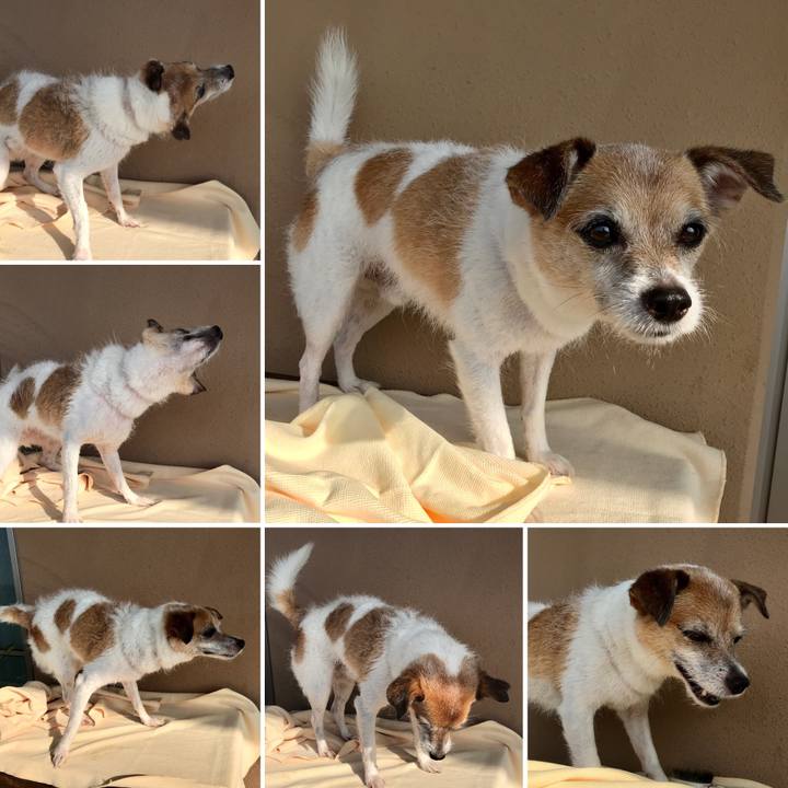 1f529412 0ca2 412b ab74 7fc5c0311667 1629948907834