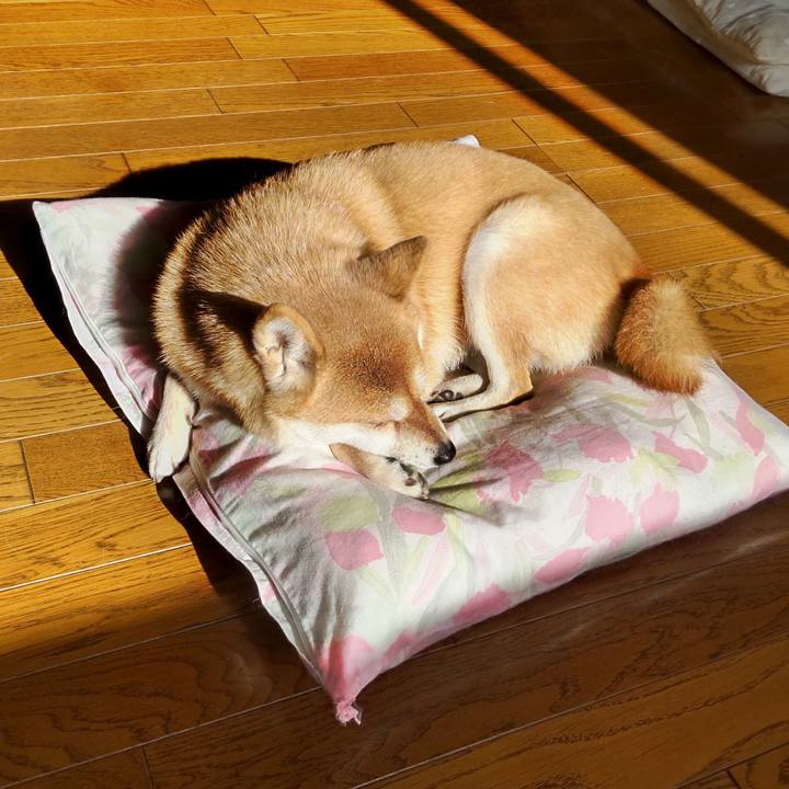 1f52f82b 3725 456c 97f7 a0515cd8f0ec 1765677087430