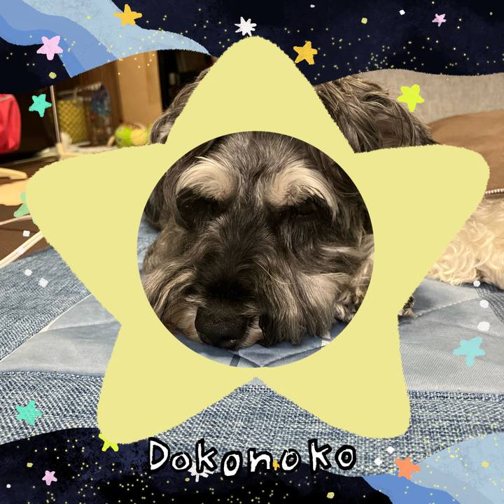 1f530972 f39f 458a b702 84c17dd8d8e2 1720998075930