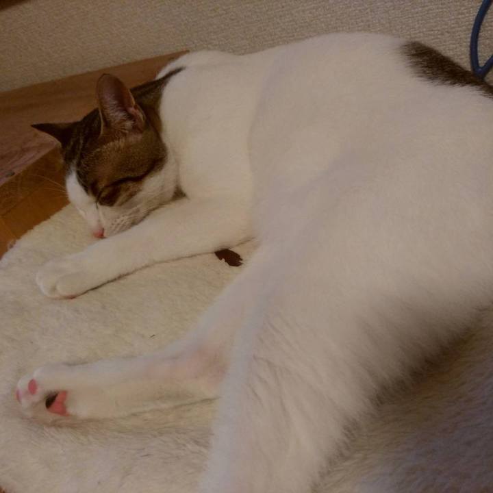 1f530be8 93d9 4fa6 98b2 71fda0353055 1662983146028