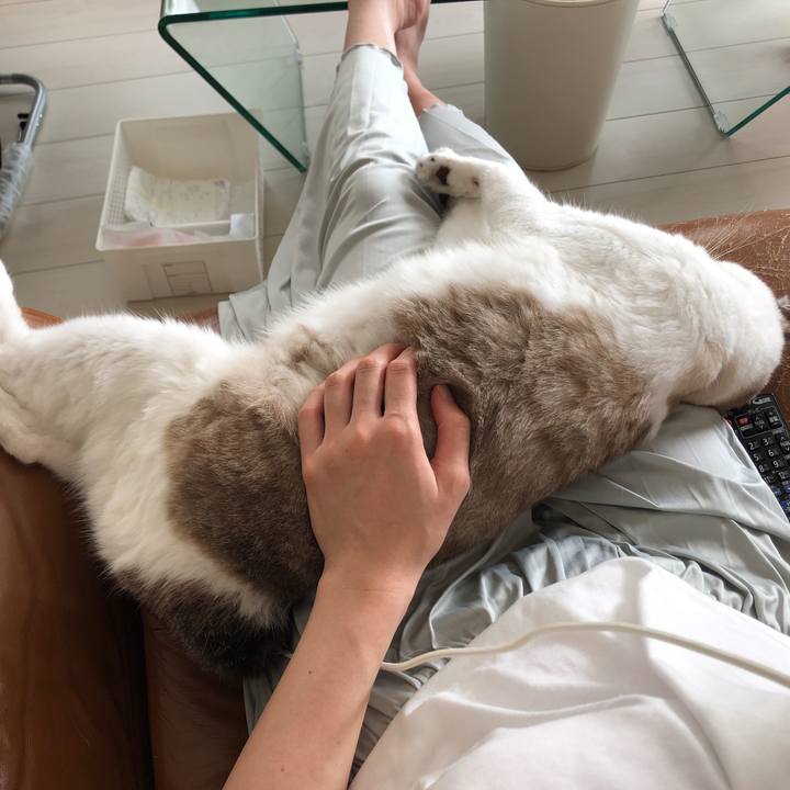 1f535270 5d44 4cfb aaf9 c70c8411b1eb 1570419537391