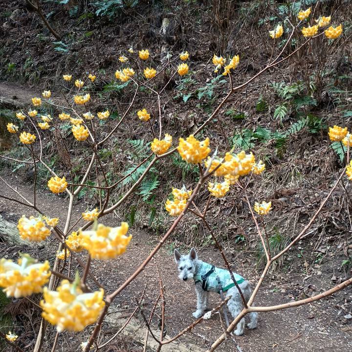 1f537a3f 03b5 4624 8262 cf516cd57d3c 1774009671412