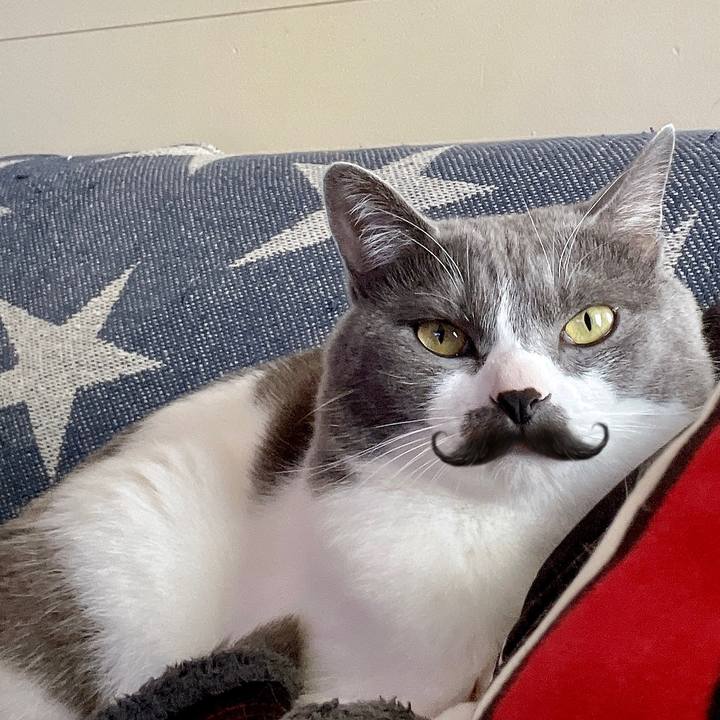 1f538286 2187 4091 94ea 37ef3b358f86 1652771980444