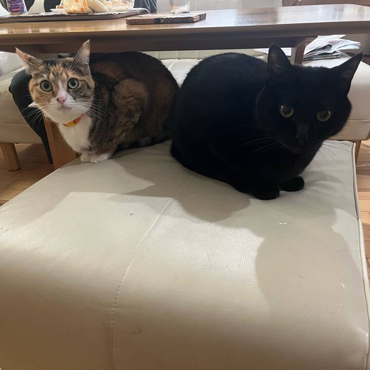 1f53cd49 49fe 4152 8d60 bc88443175cd 1677625199470