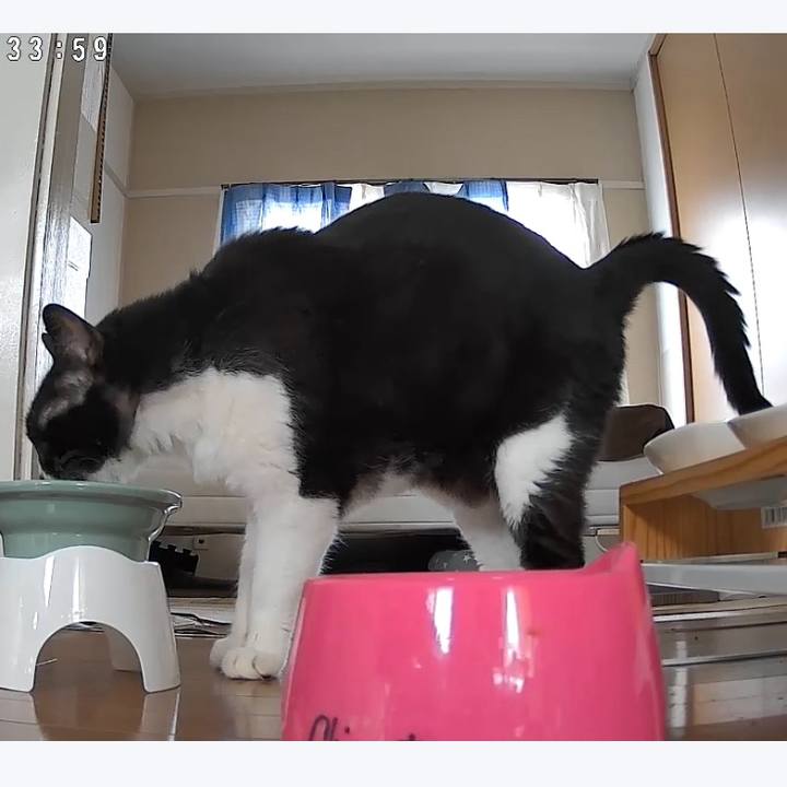 1f53ef26 bfe6 407c 9ccd 6268273c2403 1722431737927