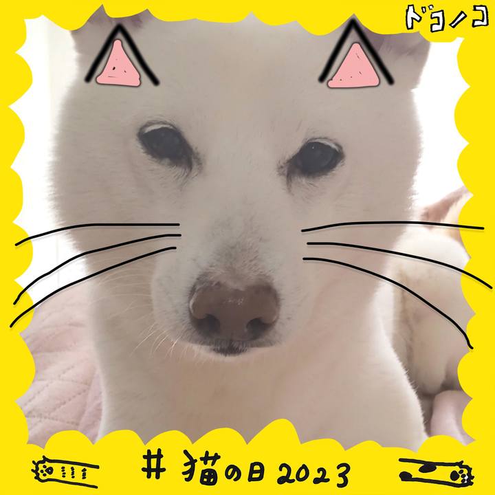 1f541376 1764 4413 8715 29a471cffea6 1677030471850