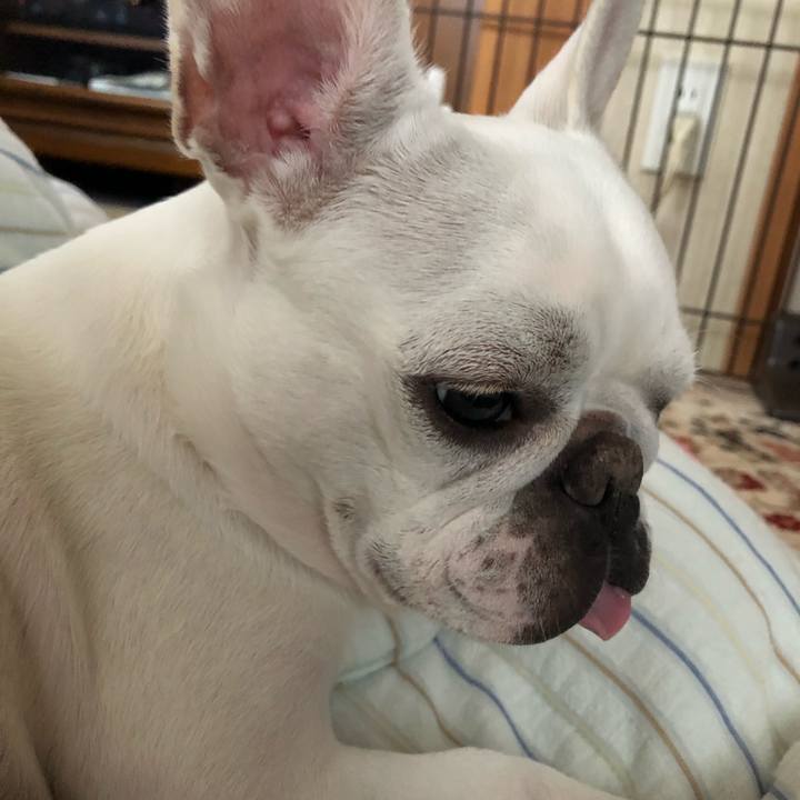 1f544564 8274 4851 90fe 75f636719e0b 1562413547619