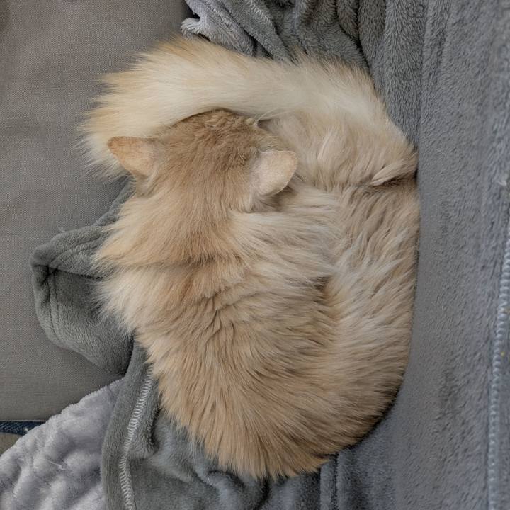 1f5459b3 f0f3 4f82 b01c 1dbd9eb8fc80 1773714095270