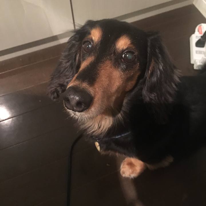 1f5477b1 2842 4f39 973e 3573e7a7ee2e 1521641352293