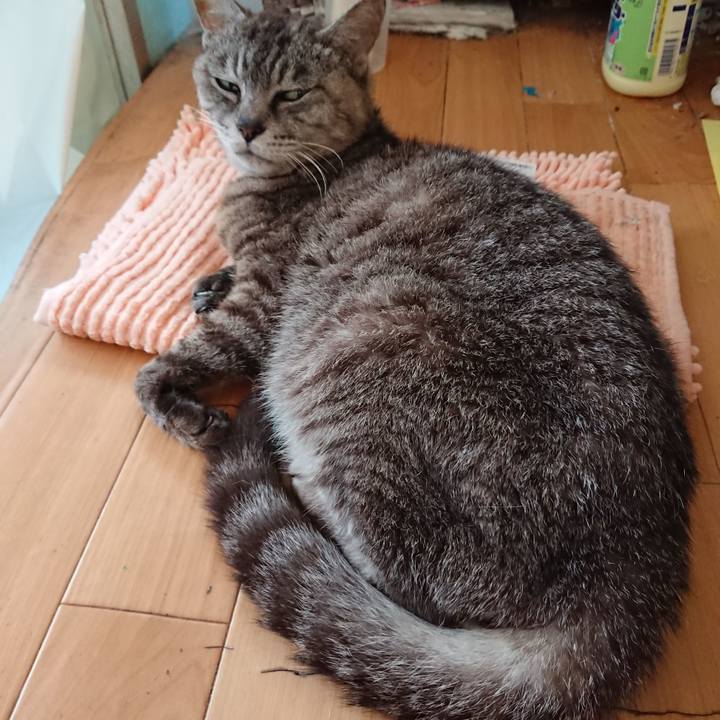 1f54beef 4d6a 46fa 89a1 8def3bd5b87f 1565298334800