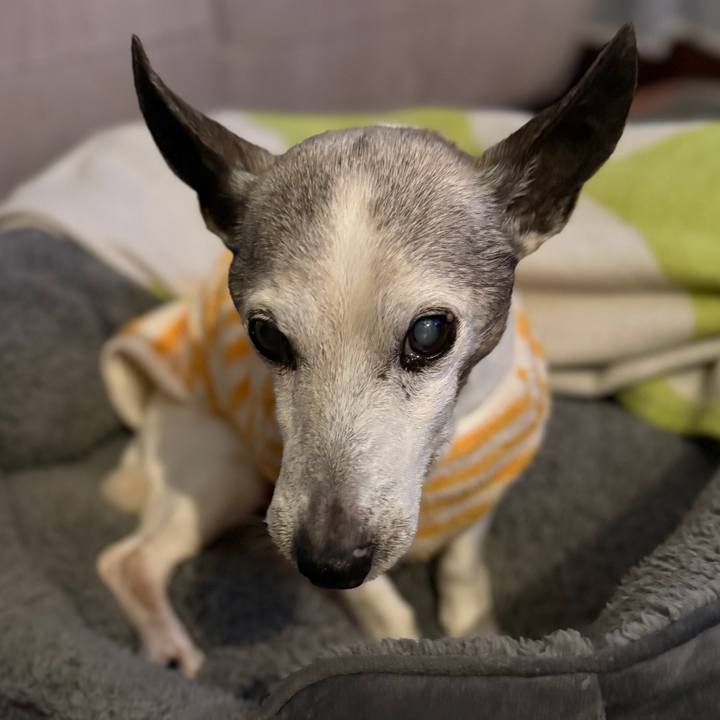 1f54c7f3 8e4b 4d7d b2c8 37bb869ae728 1767901284815