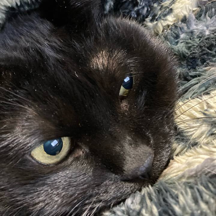 1f552732 a38f 4429 8dee 601650d4b64b 1705323512148