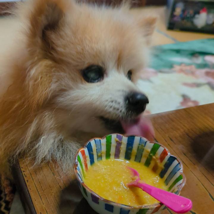 1f5568a7 3ce2 46e3 b1e1 f0a41c7ae480 1733629069975