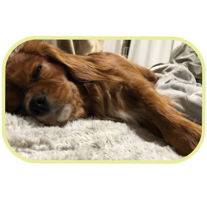 1f55ae45 9252 4373 bec8 4c8a950ed828 1551267062290