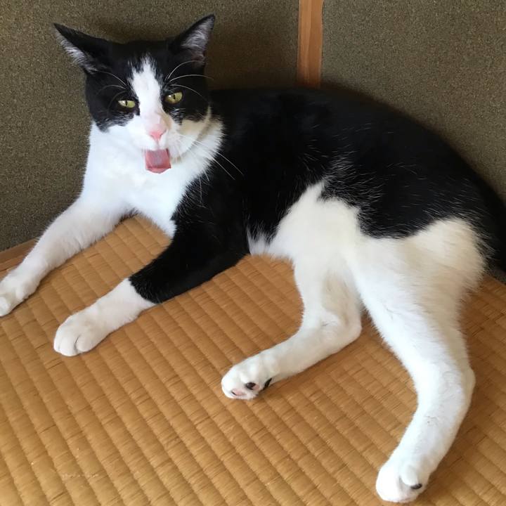 1f55be74 fb63 4390 a707 2d433d08c7ec 1657255200157