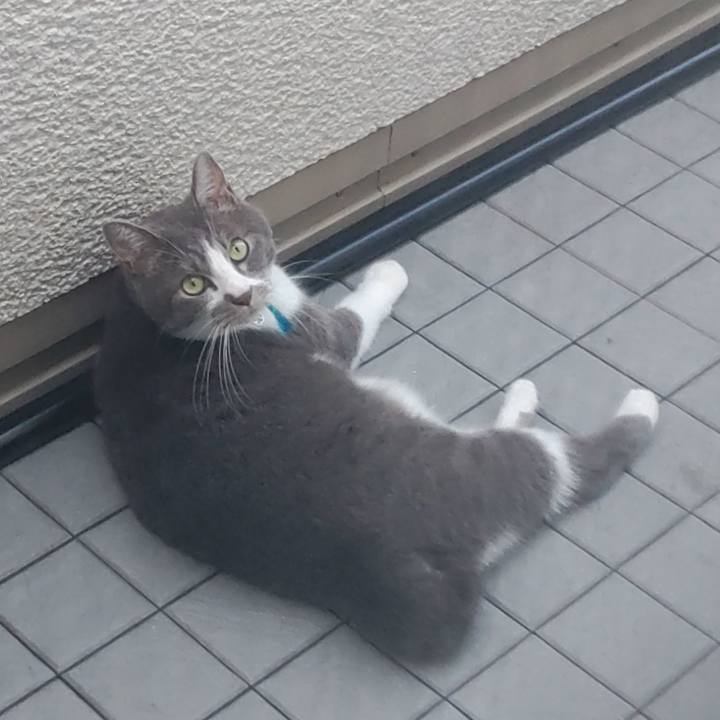 1f55c67e 3dc7 4ee4 833b b8aa71763a9c 1721602350516