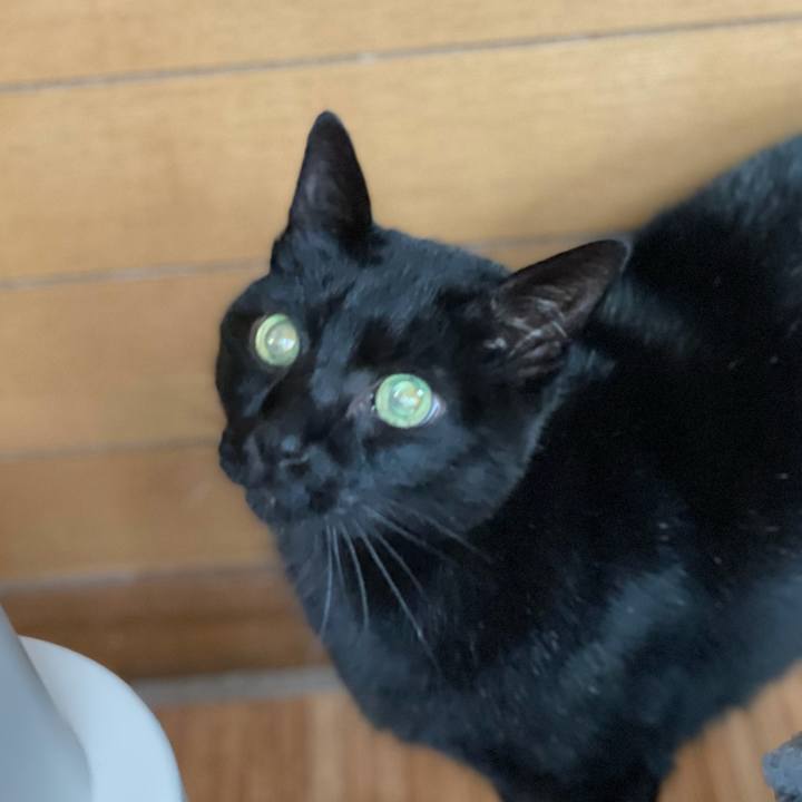 1f55dcb6 c7f2 46ae 99bf 5ebbced9956b 1607824676044