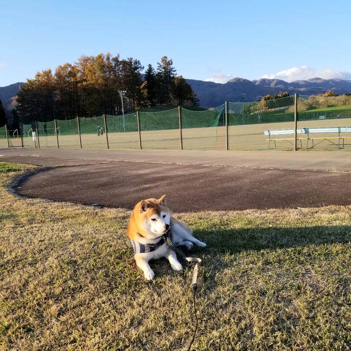 1f561d1e f799 4540 a668 35362c48375c 1636786276061