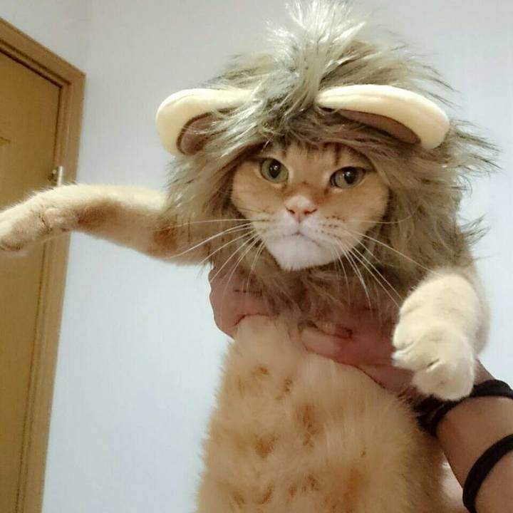 1f563b8d d1c3 4964 aa98 2bde5d8908d9 1565862819939