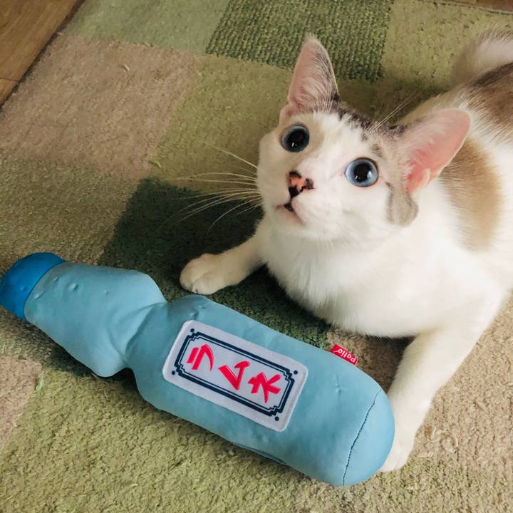 1f563bd6 443e 4484 9457 315843701265 1596023589149