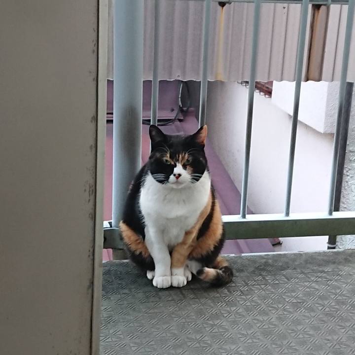 1f565d8a e9f5 4a11 8bf3 7dc67bb38661 1573775317702