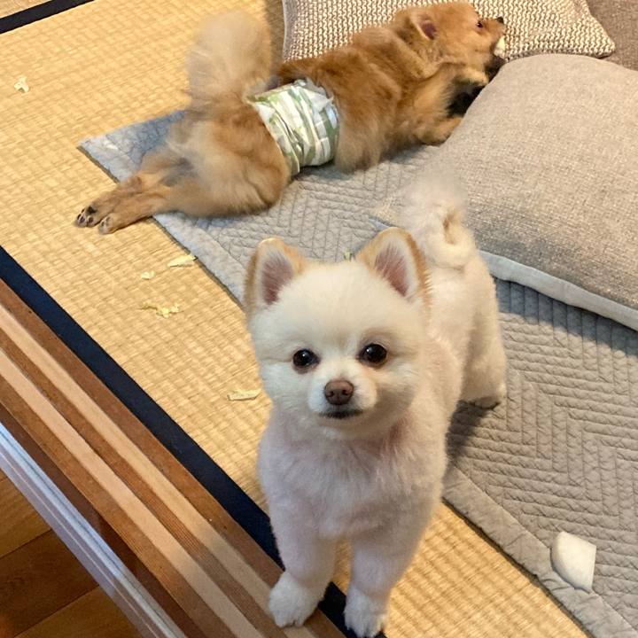 1f566049 46bc 44b7 ab22 e1ea285ee0f0 1643930675889