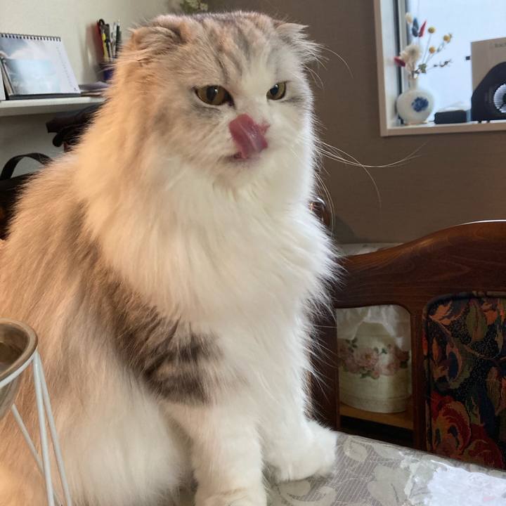 1f56736e 20ec 4b08 bc56 5575fb8d4663 1690341097124