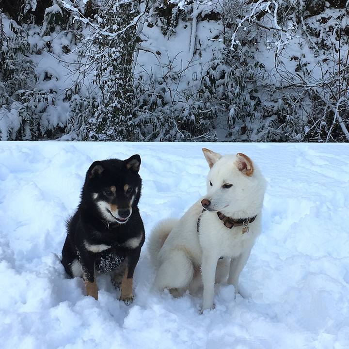 1f567a3b 0b52 406f be7b 2558c8e17916 1596292058420