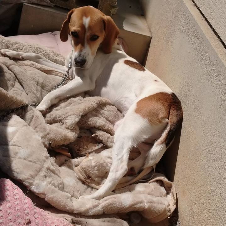 1f56b997 56b5 4e35 a749 b24abc576208 1583986761489