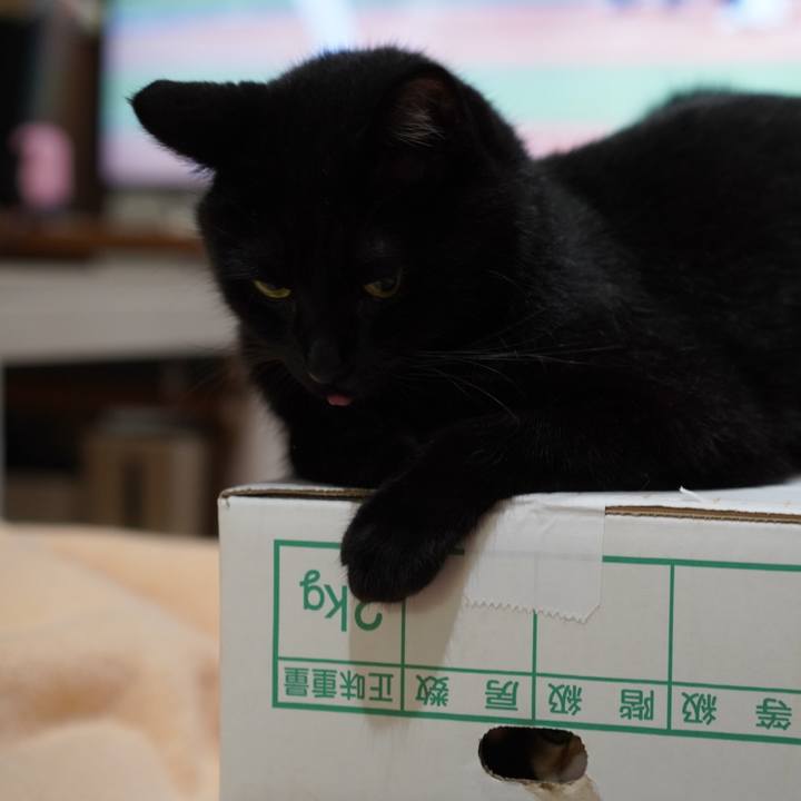 1f56f11e c16e 4a14 9d9a f46f150499f3 1628515549169