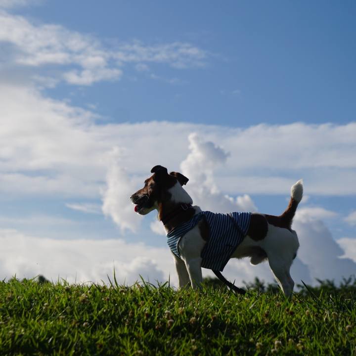 1f56f7da 8dae 4f8b b895 5b6807c05612 1531089639247