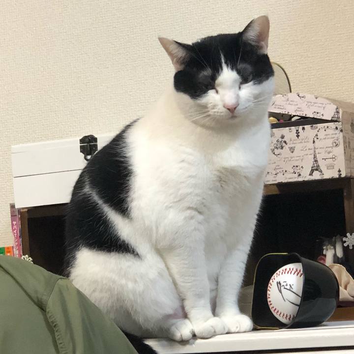 1f56f881 18b0 42aa 8a3f a638a5492423 1541775350477