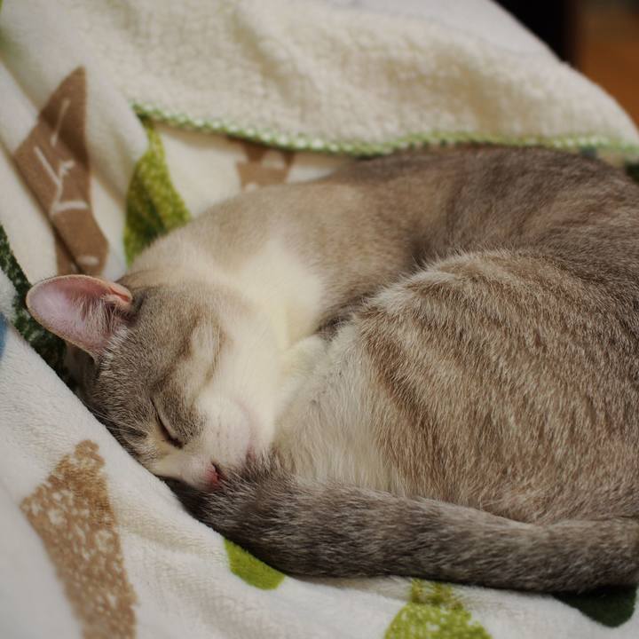 1f5735b7 56a5 4bd0 85ab 098c14af0c70 1543710812027