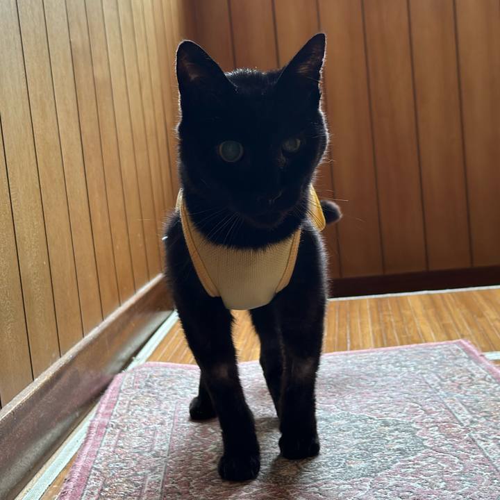 1f576806 0b4c 4e10 93c3 bb8729e2b98e 1713406765699