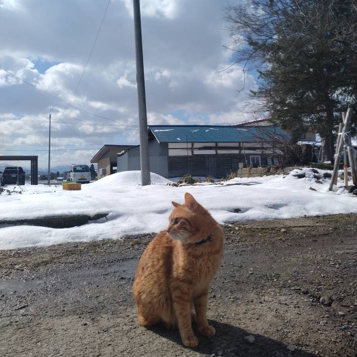 1f57703e 8c7e 4e60 9c87 ff330566e506 1709775523781