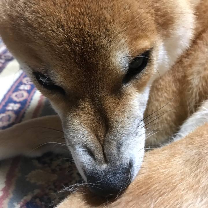 1f577a2d cb08 4d6b 9c34 d1b5ed96b0e0 1573296181512