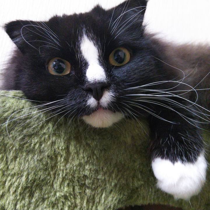 1f578e5f 5027 4eaa a085 fee6871fbe6f 1663811522149