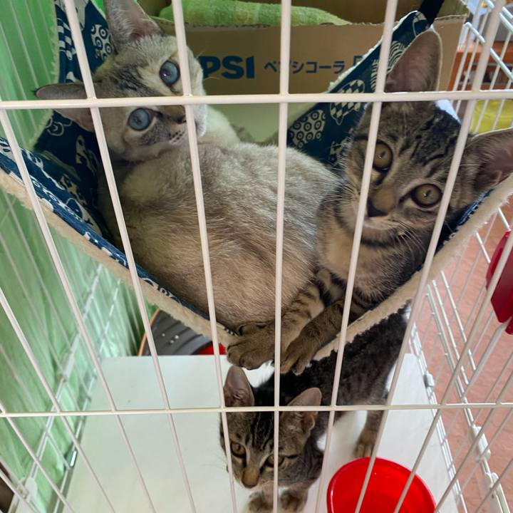 1f57d2ce a5eb 4e95 bea4 582454c97c90 1723001417403