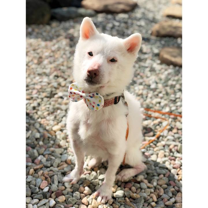 1f57fde9 a756 4736 a641 976f5a14b996 1612763953877