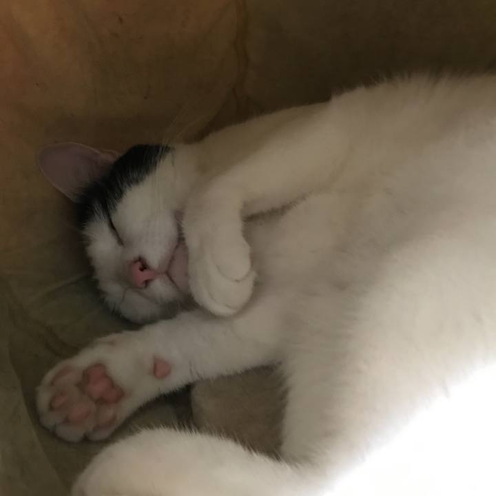 1f581279 4f8b 4718 b302 79614f999368 1526301175152