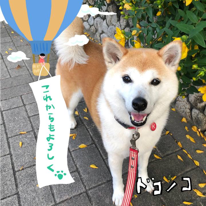 1f581a51 e231 4226 a9f4 1ae2cdd3541a 1685935183903