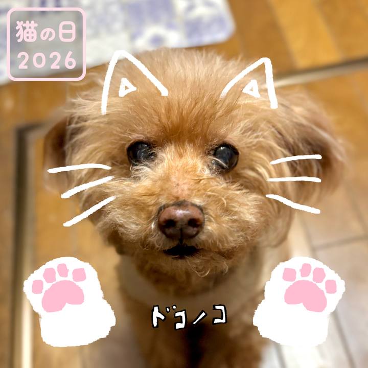 1f581ca3 518f 4d4a bca8 ca13d770c12f 1771722517972