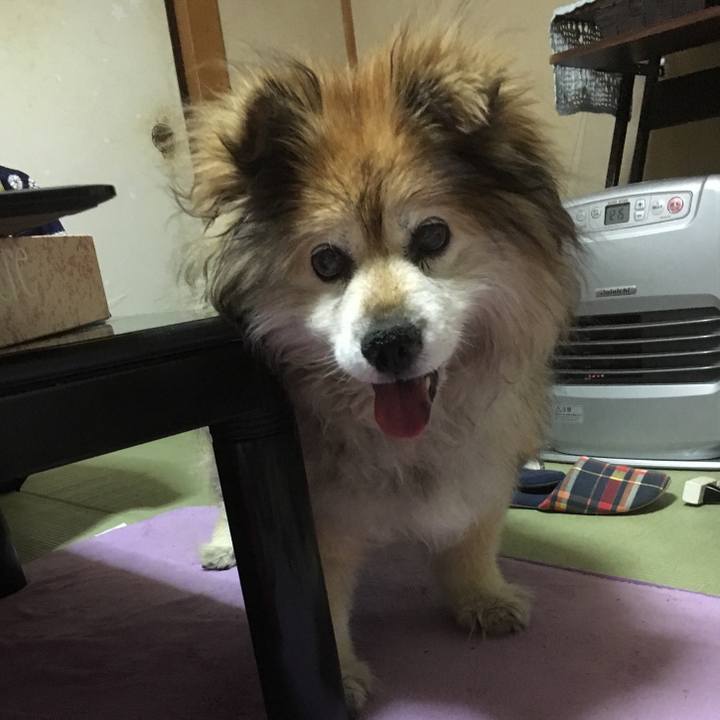 1f585508 497d 47e9 8f51 da5393727955 1595159968342