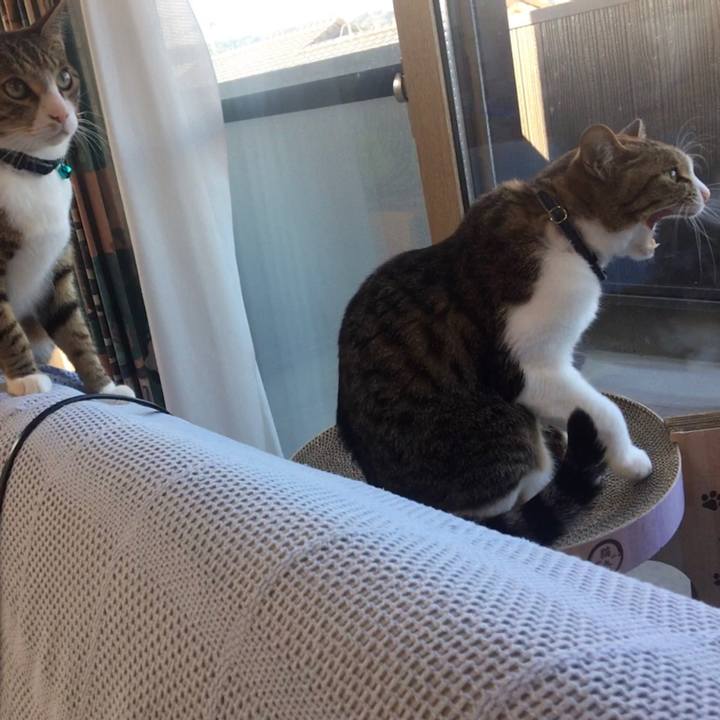 1f587028 a8c9 42f7 bcdf dc0a8099333d 1690405145574