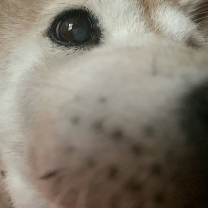 1f58843a 4374 4627 877d 4d54d393a92b 1659251265747