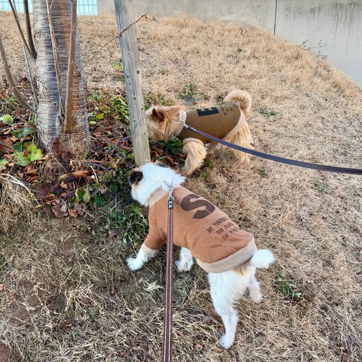 1f5885d1 fce6 4eb5 a686 f181f4d57f8e 1768048807590