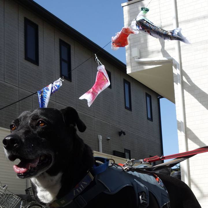 1f58a896 a268 4731 8ad4 ae564d948492 1713490494987