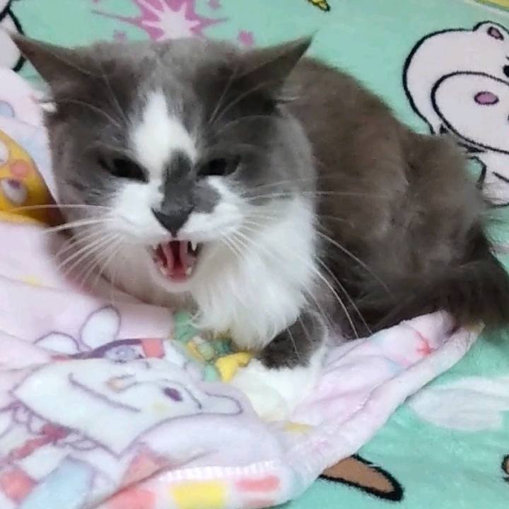 1f58b829 9876 496e b8f3 e1cf0cb5db03 1671251722569