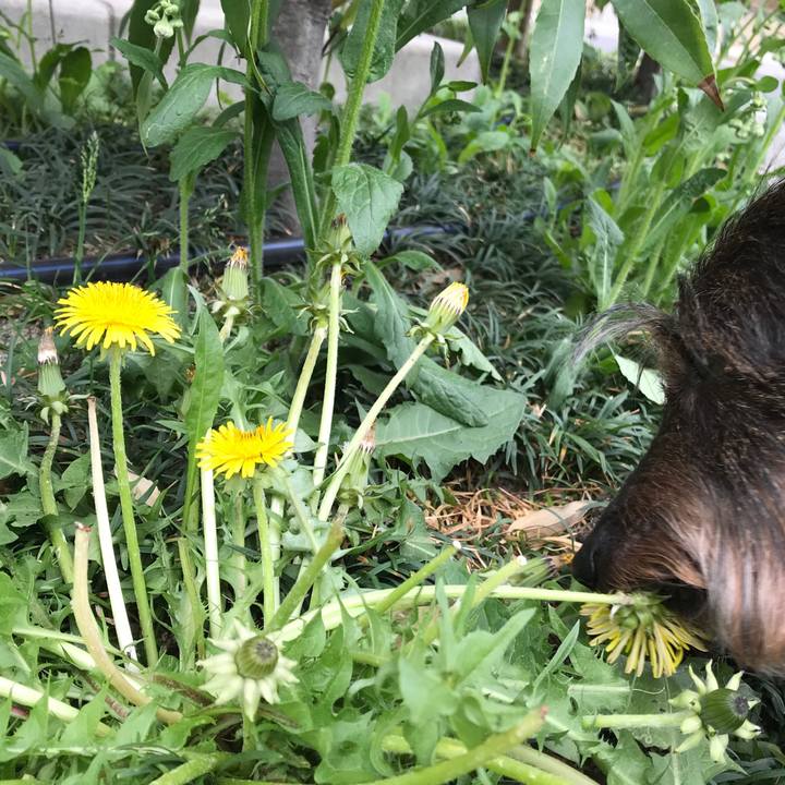 1f58c24c 370f 4257 af84 e81b3c35ef12 1556431783496